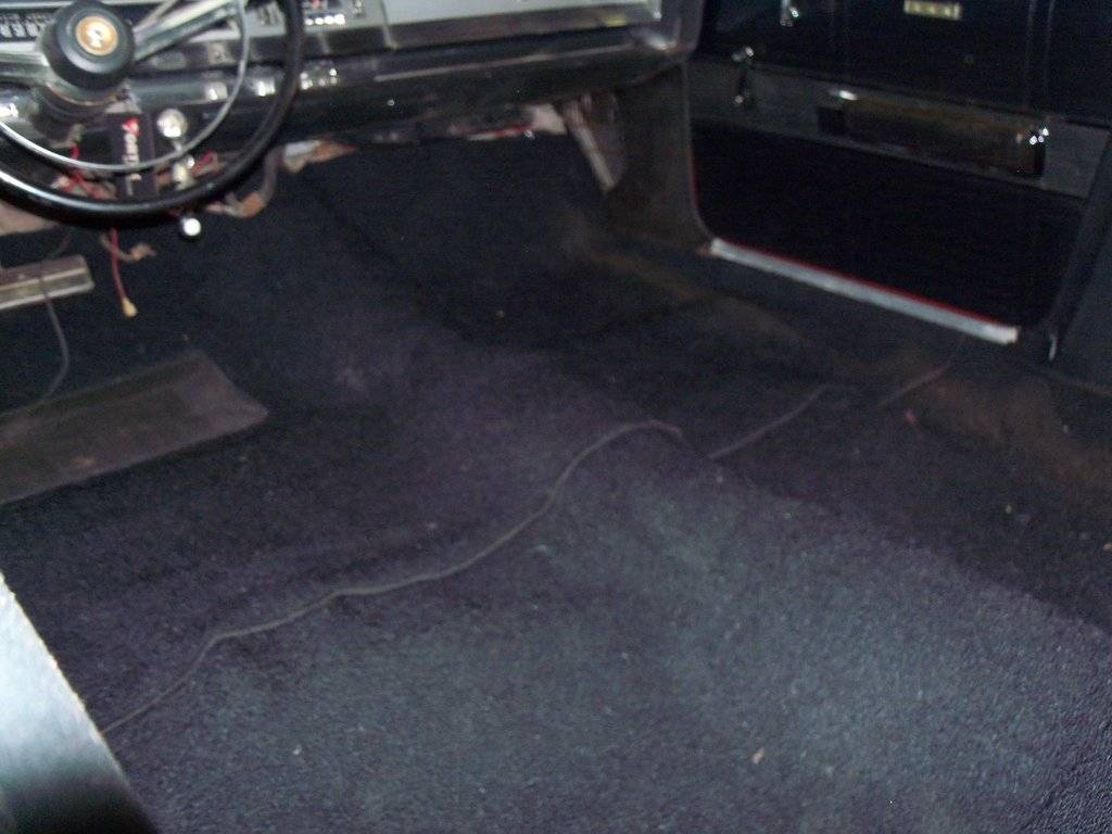 boab august 2017 008.JPG