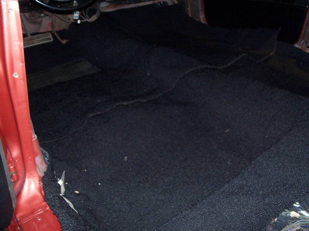 boab august 2017 010.JPG