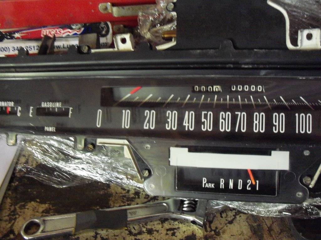 boab august 2017 014.JPG