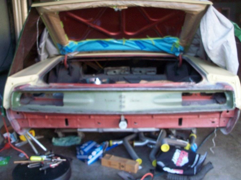 boab feb 2017 006.JPG