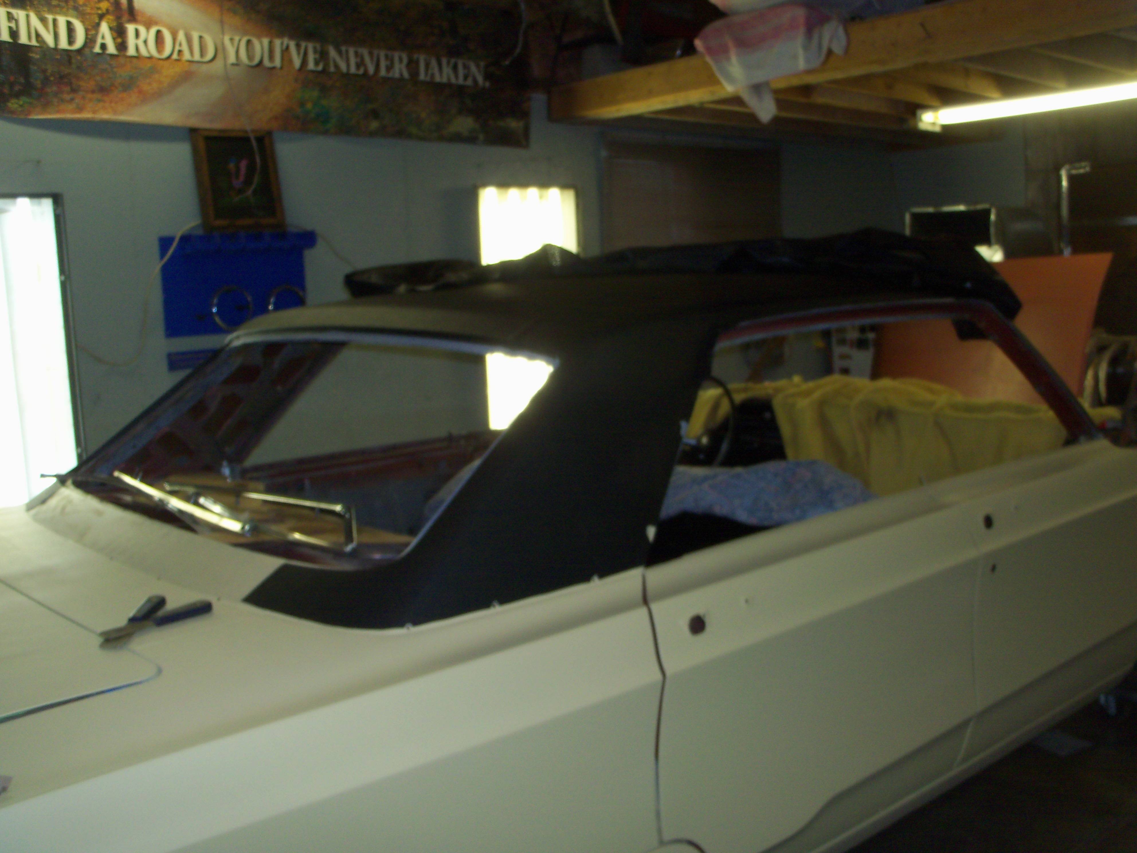 boab july 2014 012.JPG