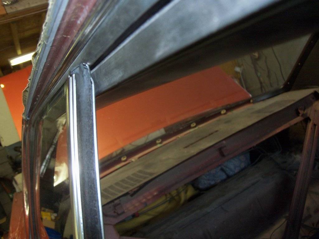 boab july 2017 004.JPG