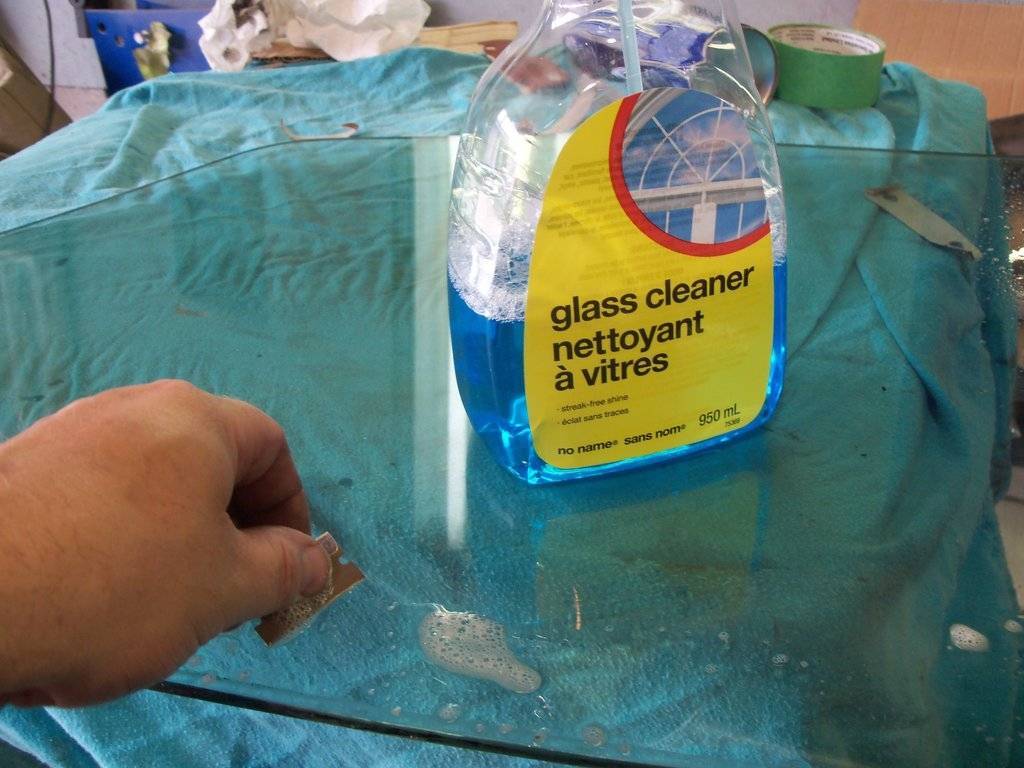 boab july 2017 006.JPG