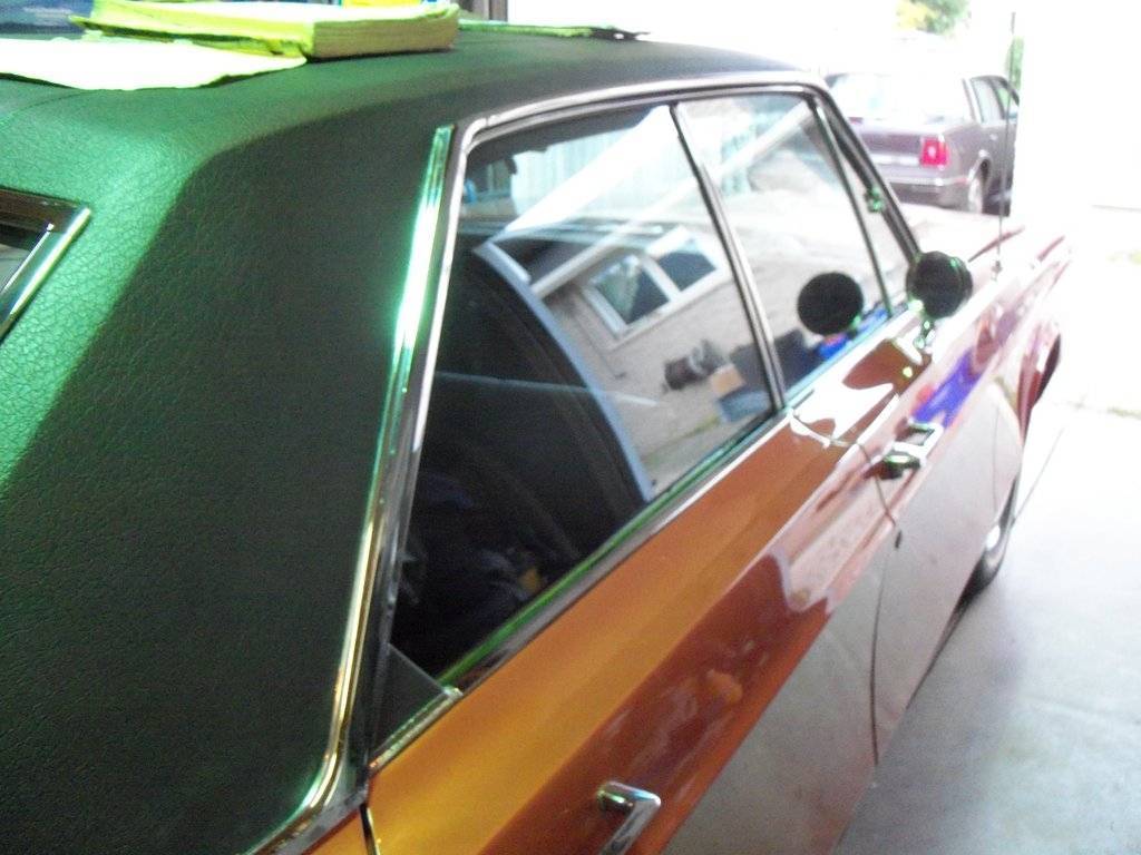 boab july 2017 006.JPG