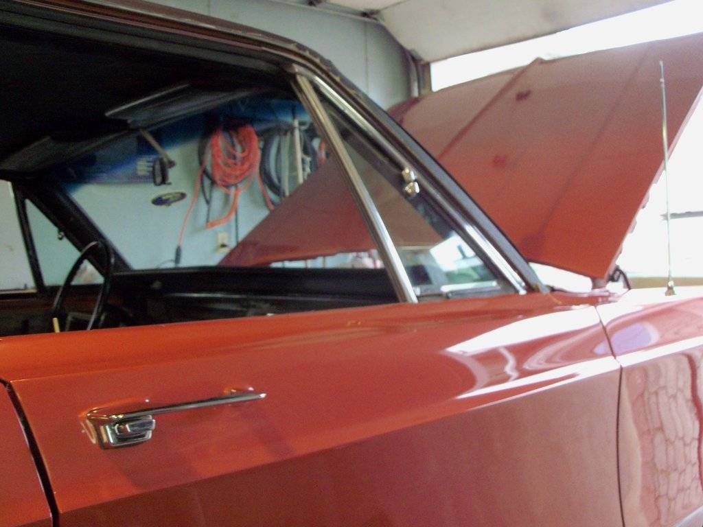 boab june 2017 001.JPG