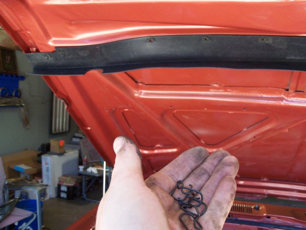 boab june 2017 002.JPG