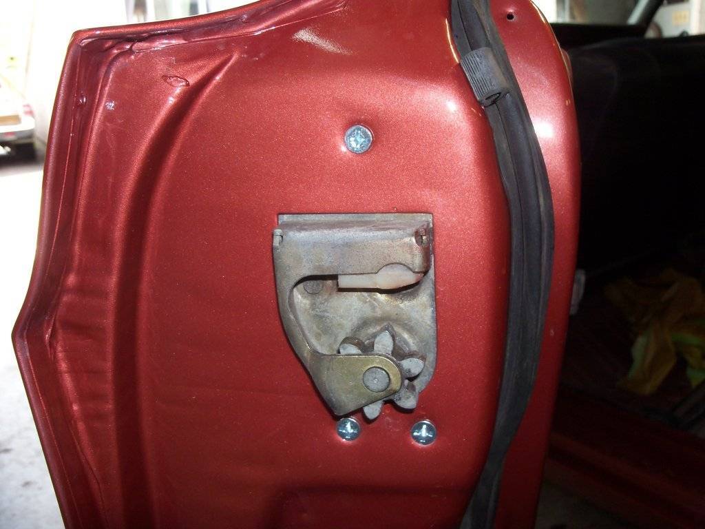 boab june 2017 011.JPG