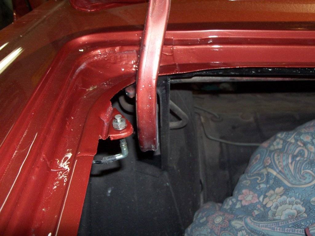 boab june 2017 013.JPG