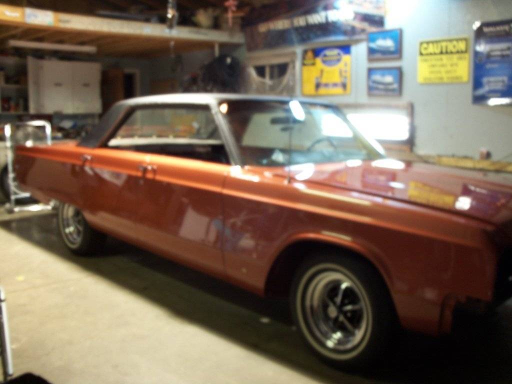 boab june 2017 018.JPG