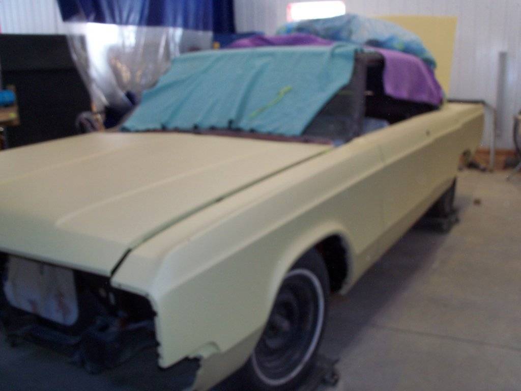 boab march 2017 001.JPG