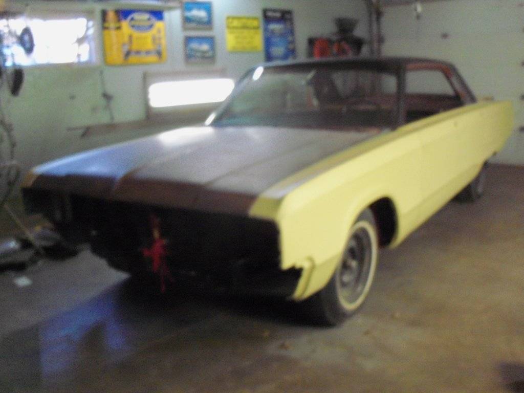 boab march 2017 002.JPG