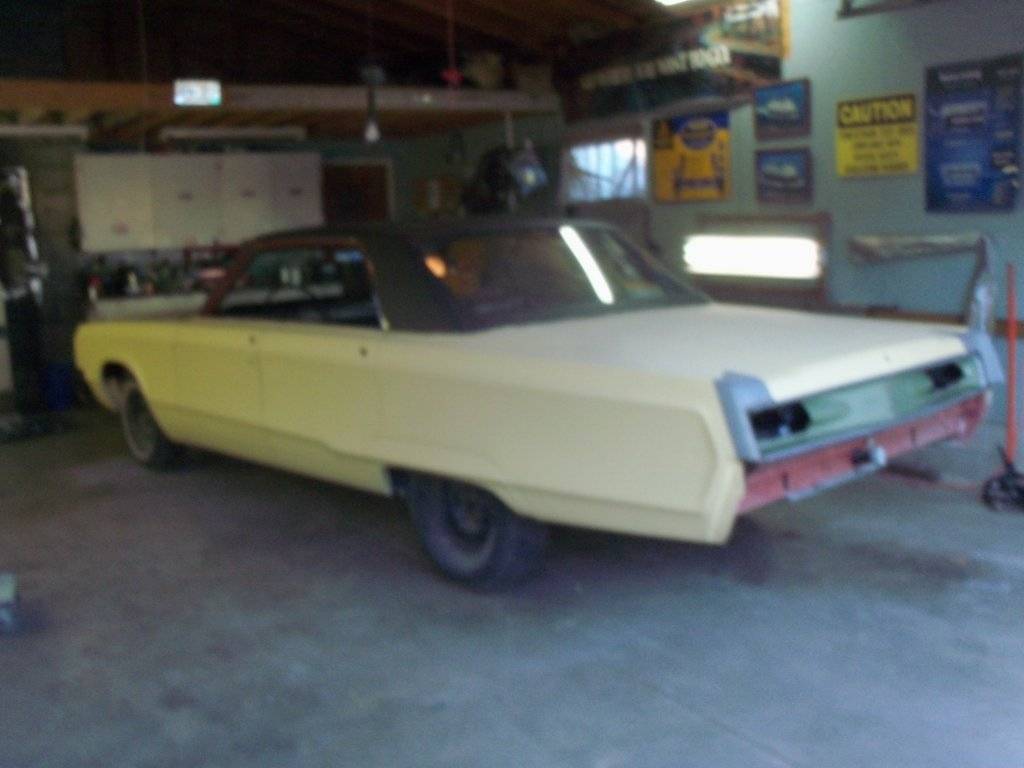 boab march 2017 005.JPG