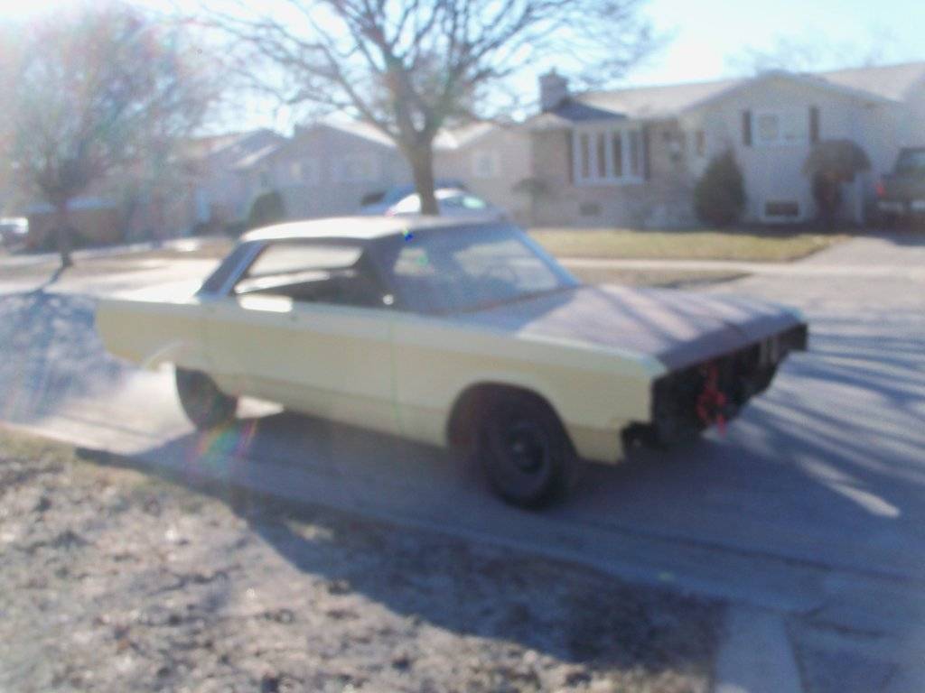 boab march 2017 008.JPG