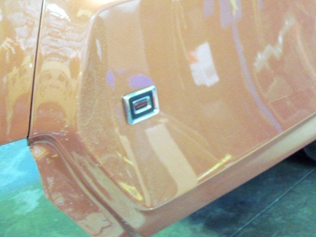 Boab May 2017 006.JPG