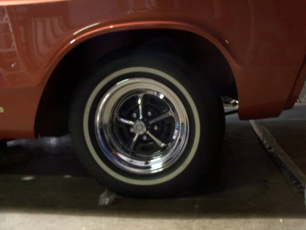 Boab May 2017 023.JPG