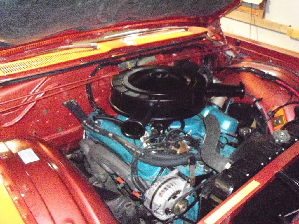 boab october 2017 004.JPG