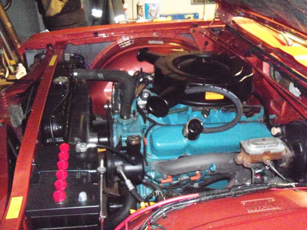 boab october 2017 005.JPG