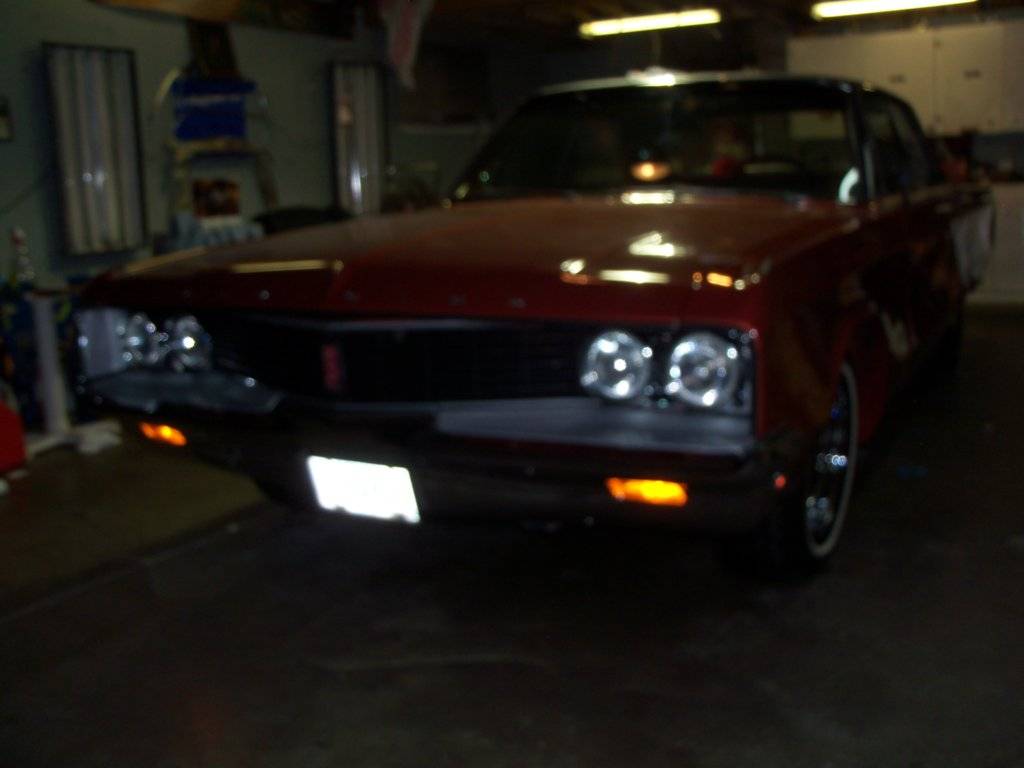 boab october 2017 025.JPG