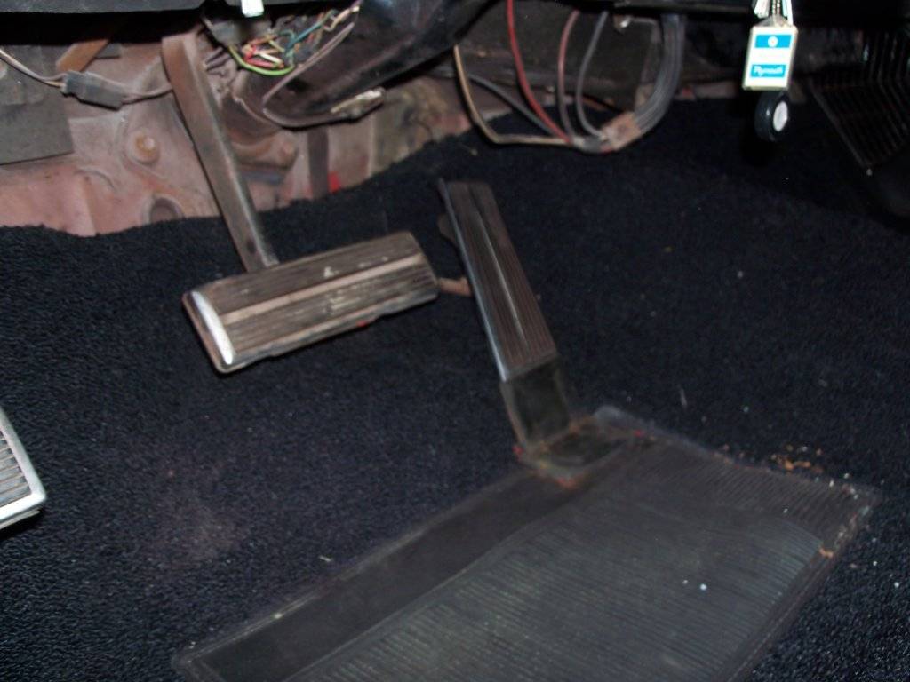 boab september 2017 006.JPG