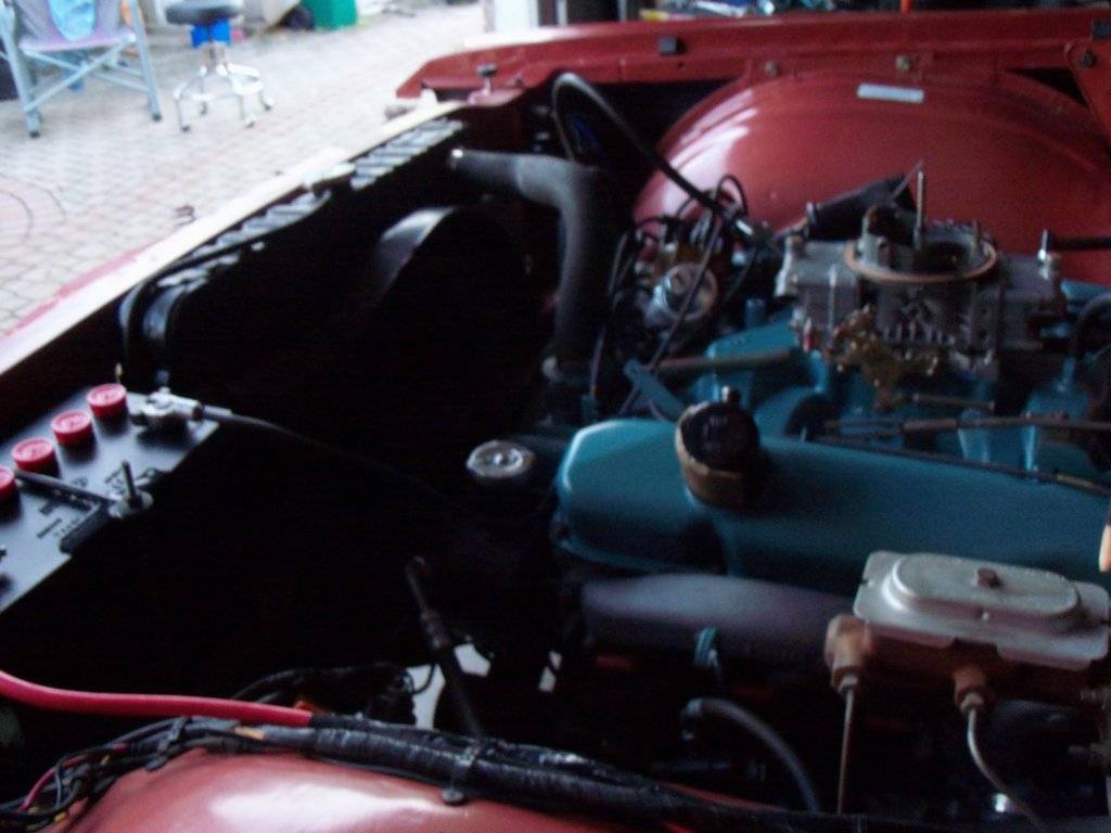 boab september 2017 009.JPG