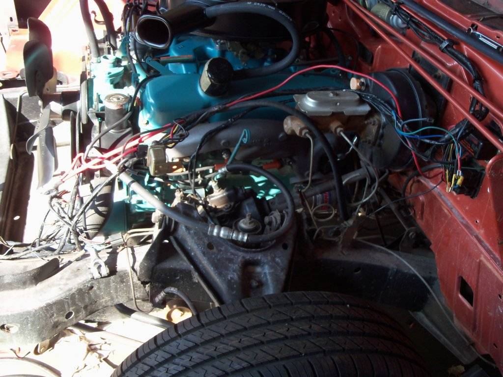 boab september 2017 011.JPG