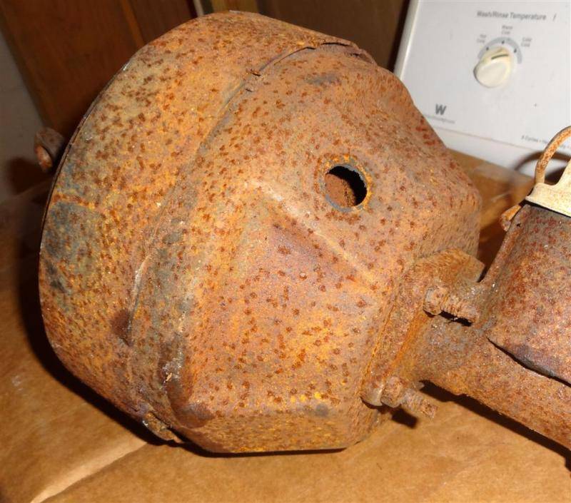 booster 1 (Large).jpg