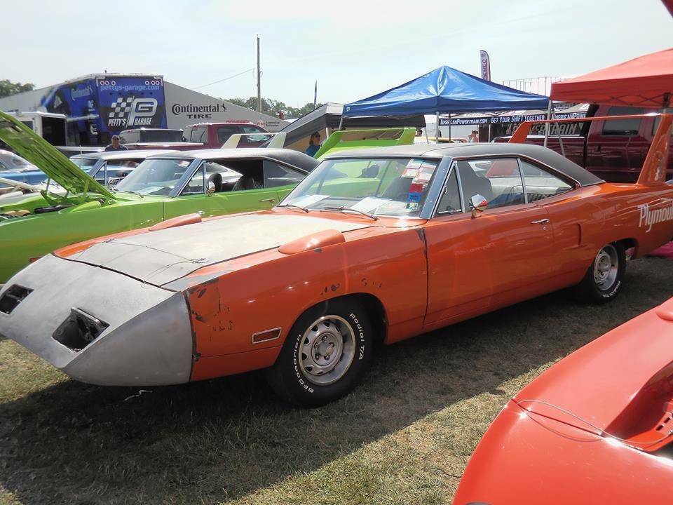 brad and anitas bird.jpg