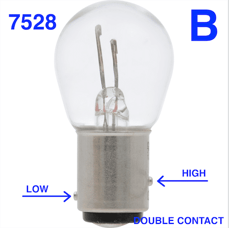 BULB B.png