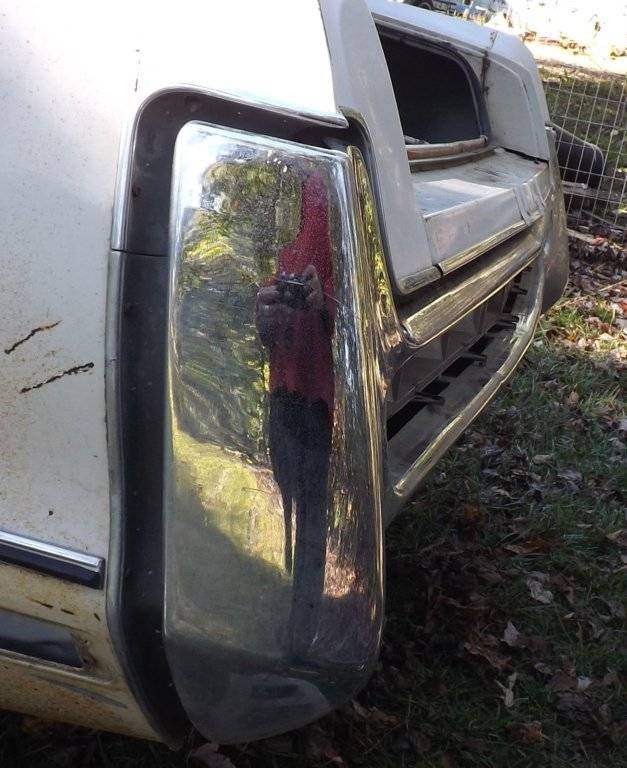 Bumper3.jpg