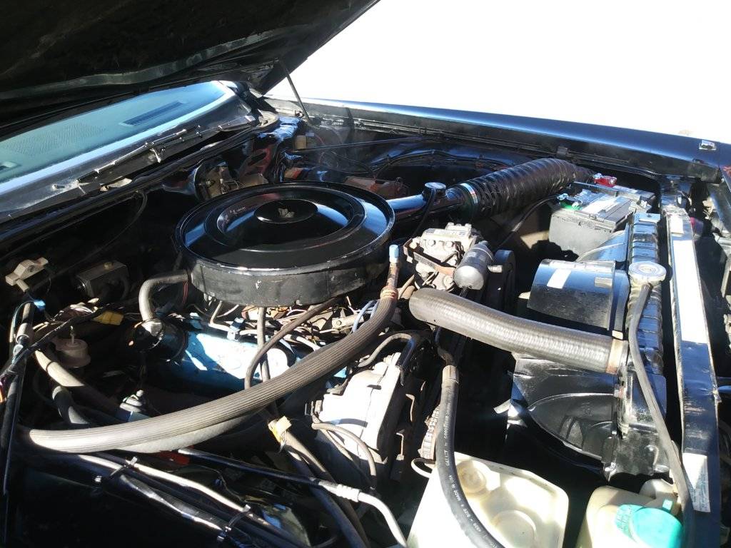 cell phone 2 1203.jpg