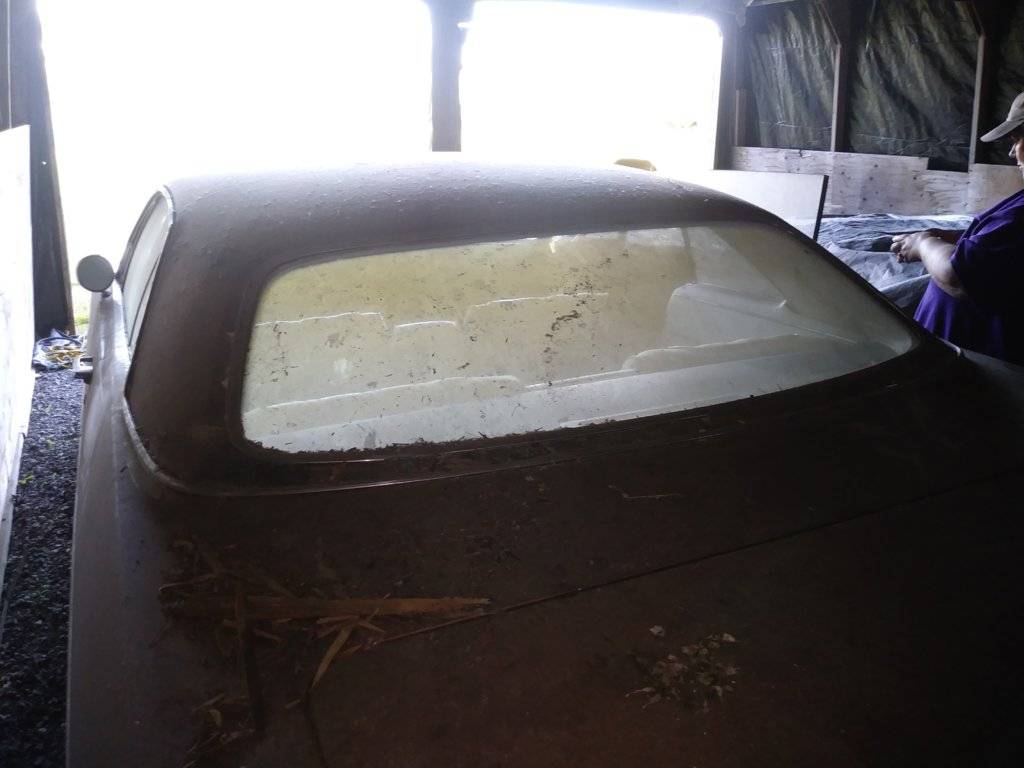 cell phone june 2019 111.jpg