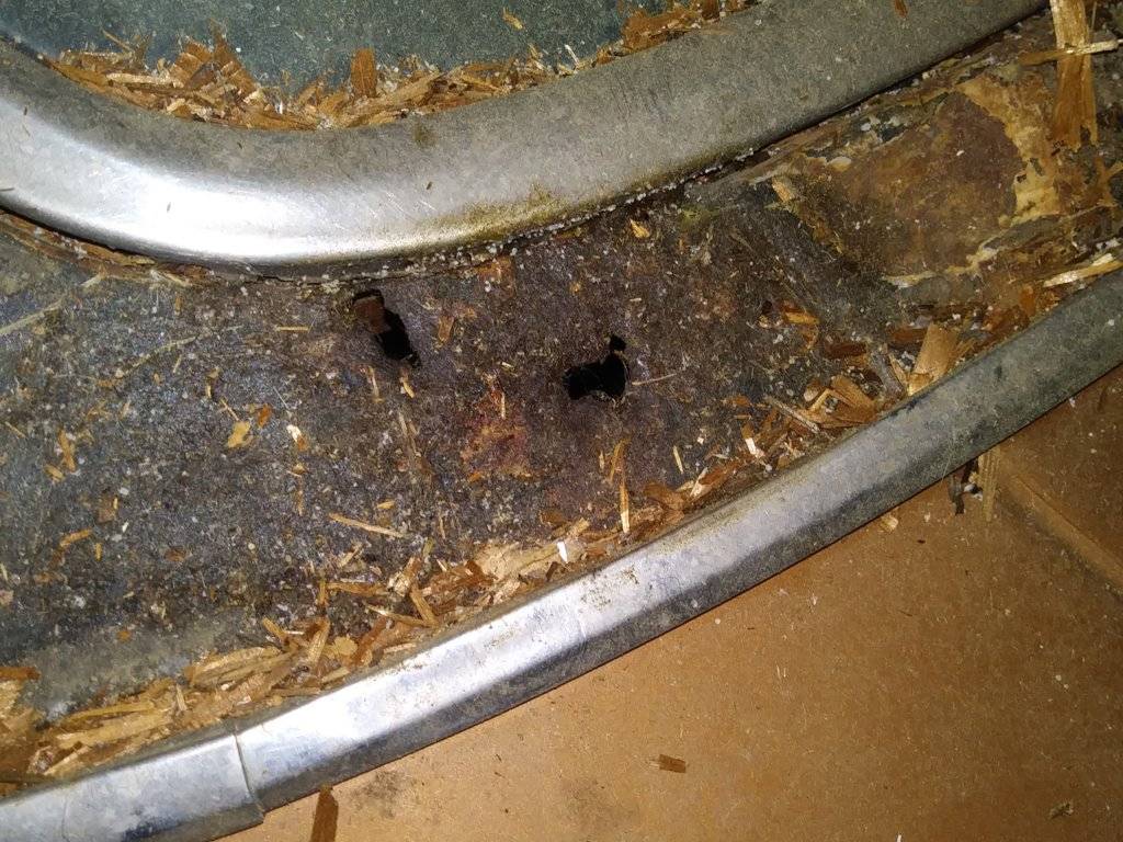 cell phone june 2019 124.jpg