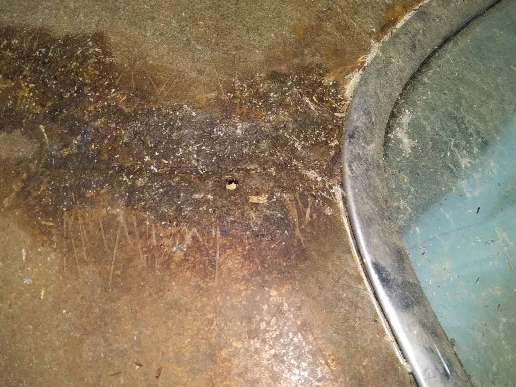 cell phone june 2019 125.jpg