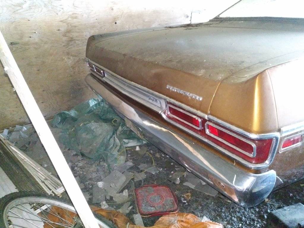 cell phone june 2019 127.jpg