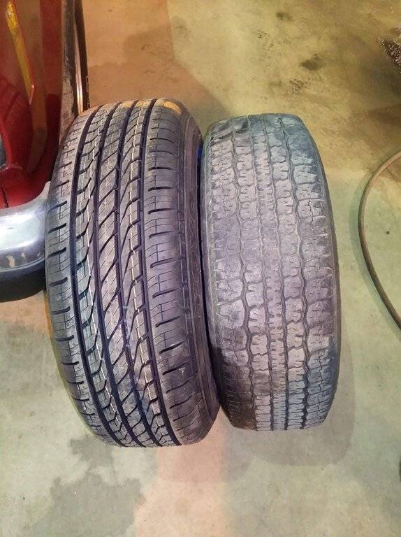 cell sept 2019 026.jpeg