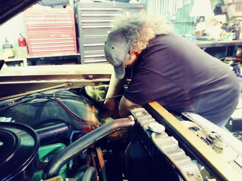 cell sept 2019 042.jpg