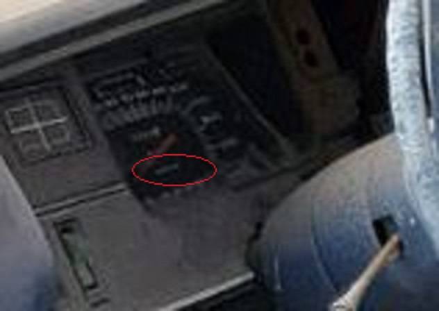 certi speedo big.jpg