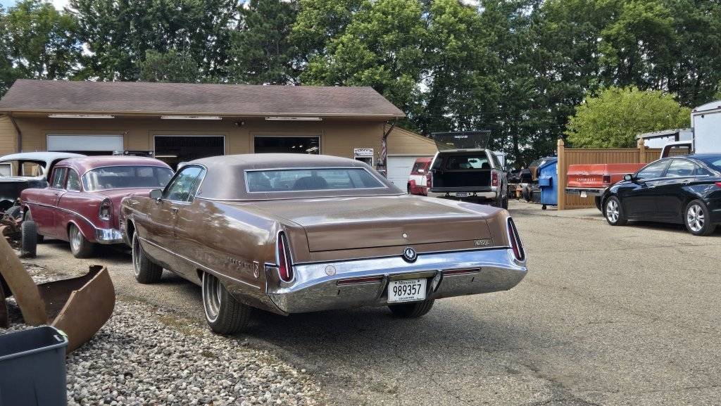 chestnut at shop.jpg