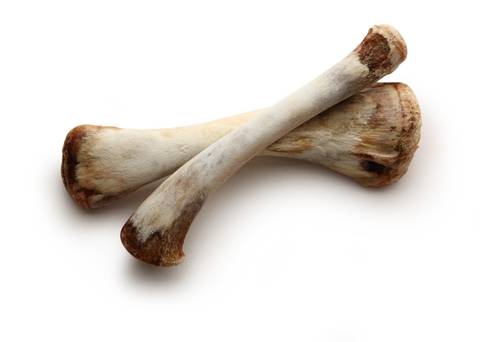 chicken-bones.jpg