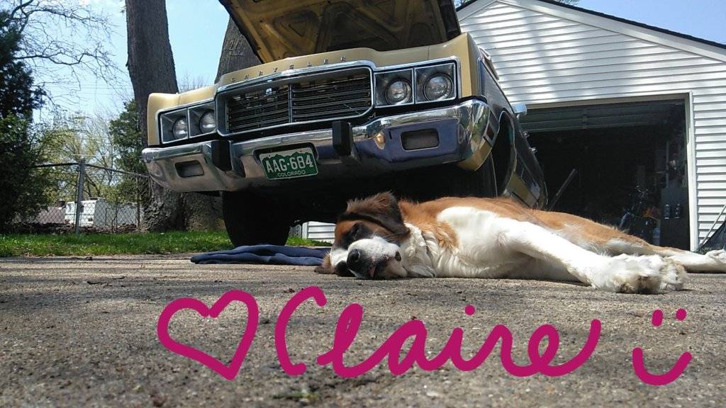 Claire with T and C.jpg