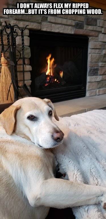 Custom Image 05112018160412.jpg