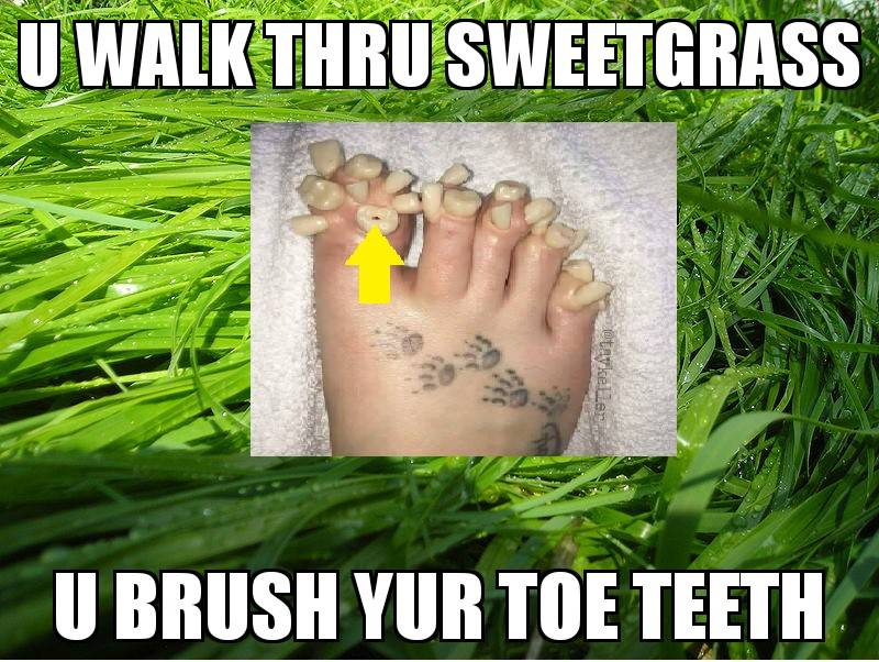 Custom Image 13102018123955.jpg