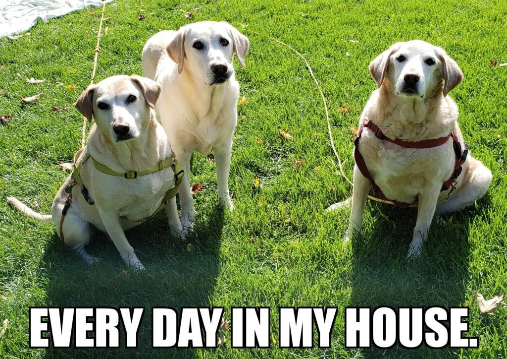 Custom Image 26102018193835.jpg