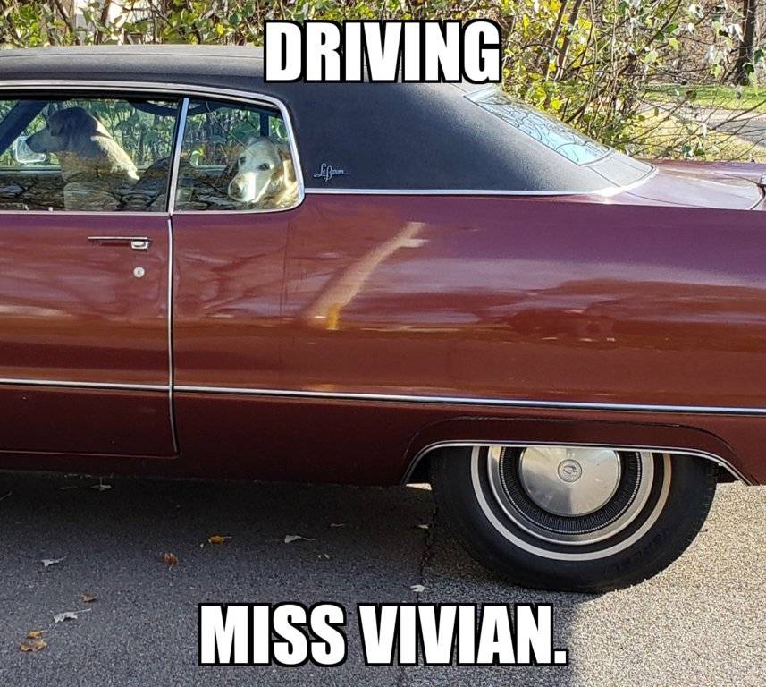 Custom Image 29102018170505.jpg