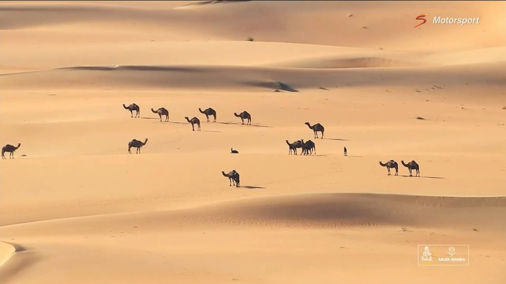 Dakar Rally 2024 S2024 Ep6 - Dakar Rally, Stage 5_0013.jpg