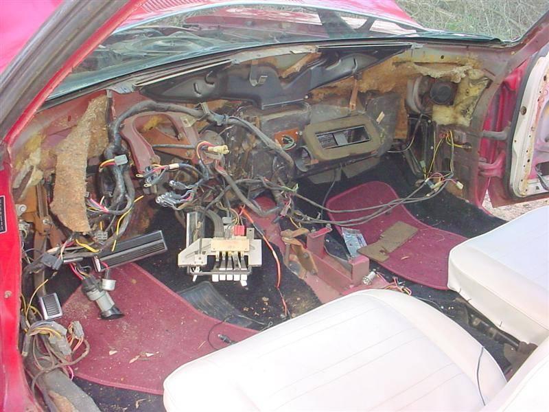 dash removed (Medium).JPG