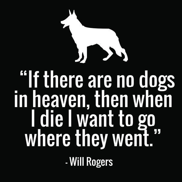 dog-death-quotes.jpg