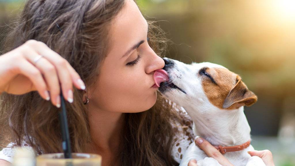dog-licking-womans-face.jpg