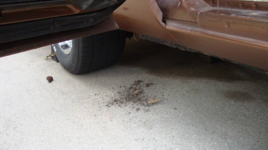 Drain hole cleaning (2).JPG