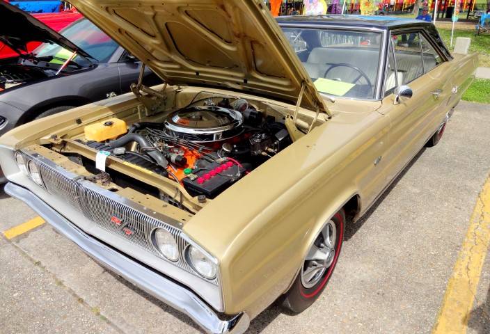 DSC00022 (Small).JPG